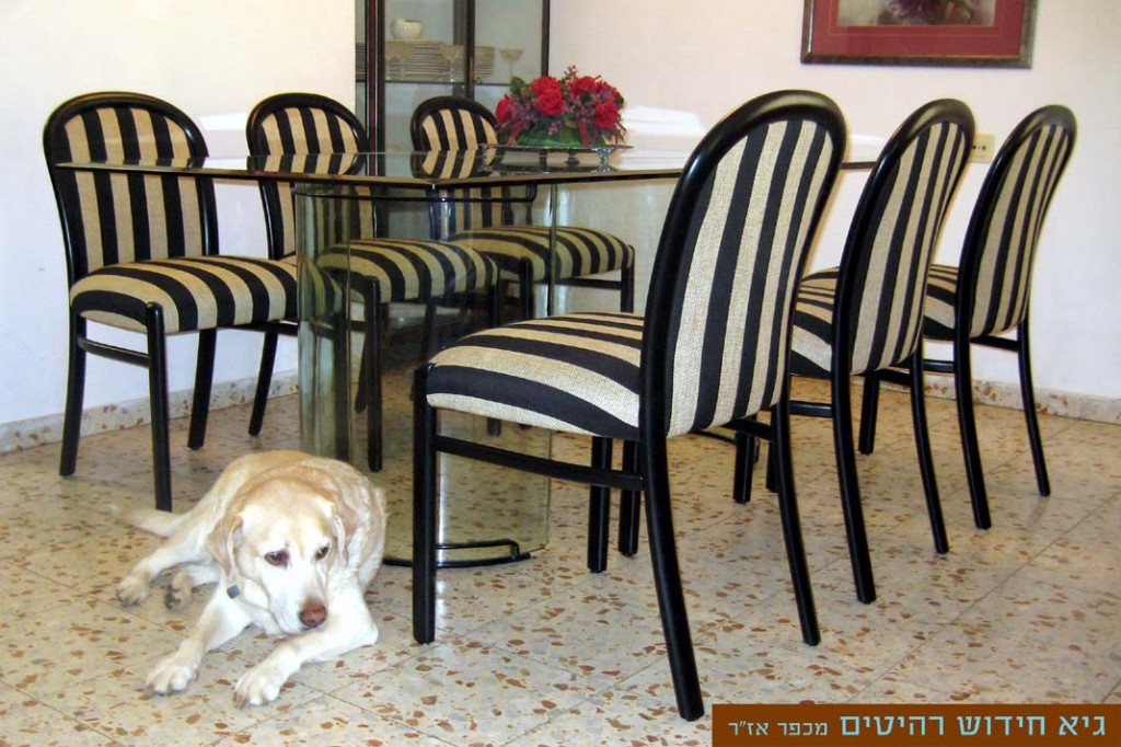 ריפוד כסאות לפינת אוכל