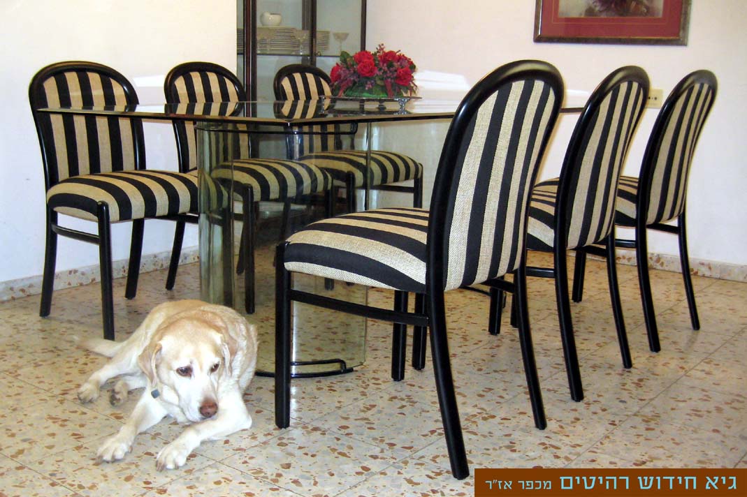 בדים לכיסאות אוכל